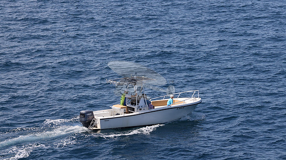FL0253DE.114