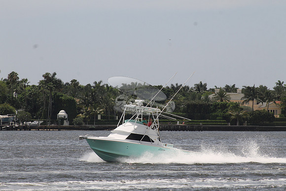 Bertram 28 green.02