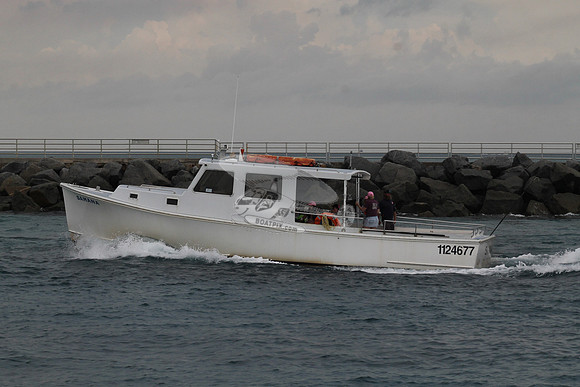 1124677.SAMANA.09