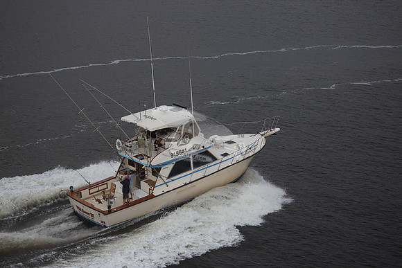 915841.WILD ROVER III.1205