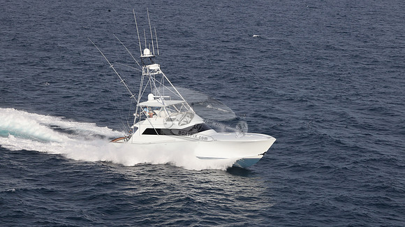 CHASIN TAIL.SINGER ISLAND.2959