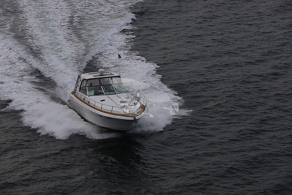 3D.SEARAY.16