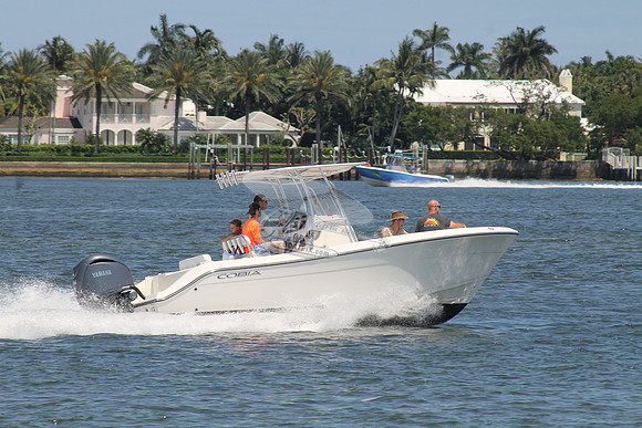 COBIA.10