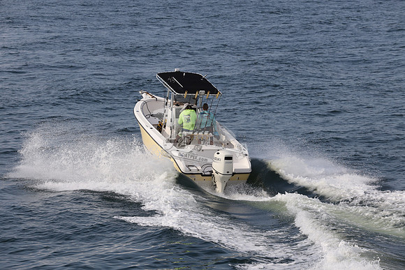 FL1588NU.04