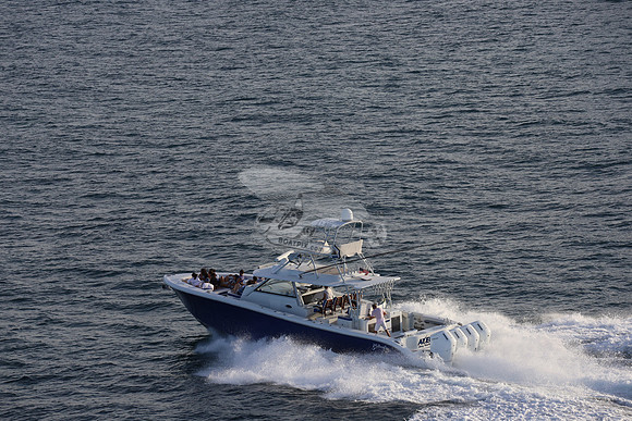 alegrias.bay harb.yellowfin.02