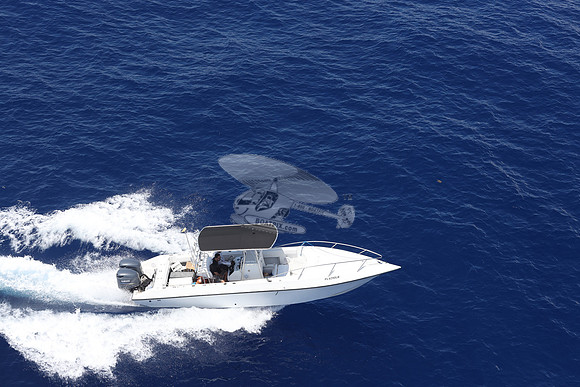 FL6290LB.18