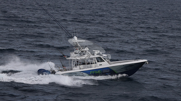 FFMD.EVERGLADES.4 YAMAHA BLUE.2823