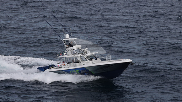FFMD.EVERGLADES.4 YAMAHA BLUE.2840