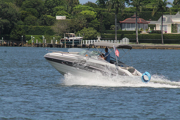 CROWNLINE.GRAY WHITE.13