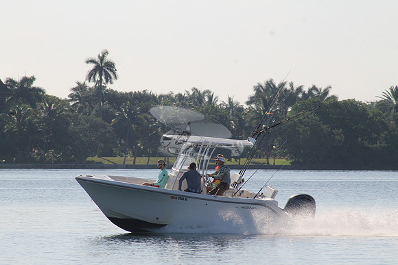 FL2003SD.06