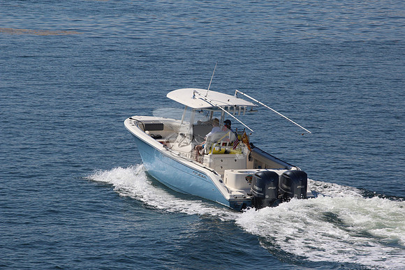 cobia.5395