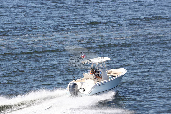 Cobia.yamaha 150. 03