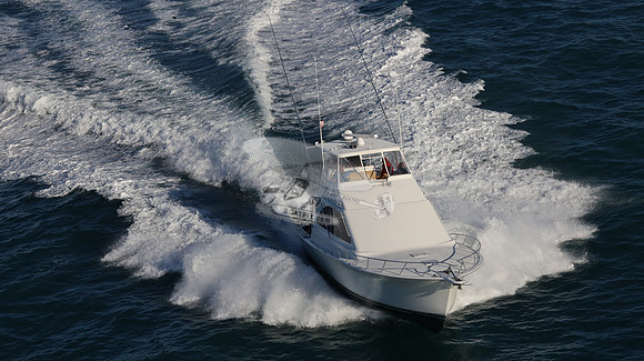 BARONESS.42