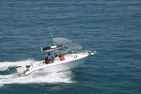 fl1436ka.03