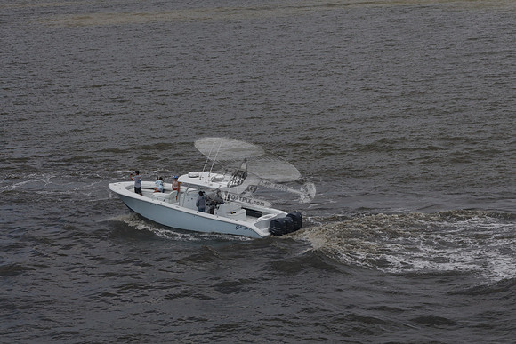 al.yellowfin.04