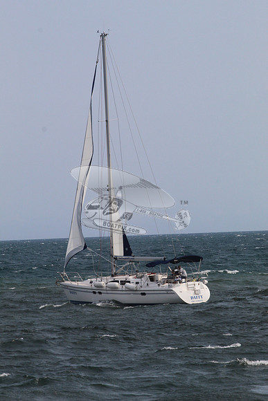 DAFFY.FL..SAIL.02