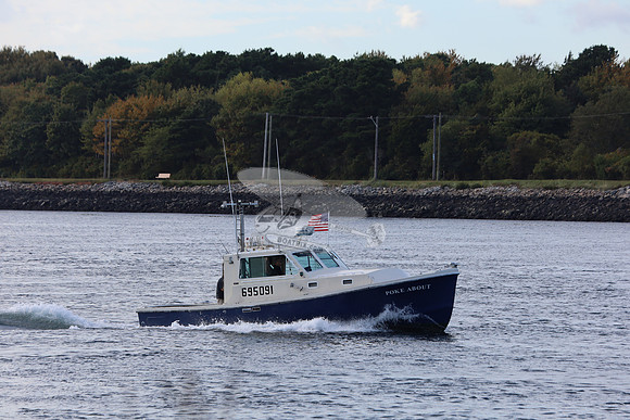 695091.poke about.sandwich ma.5342