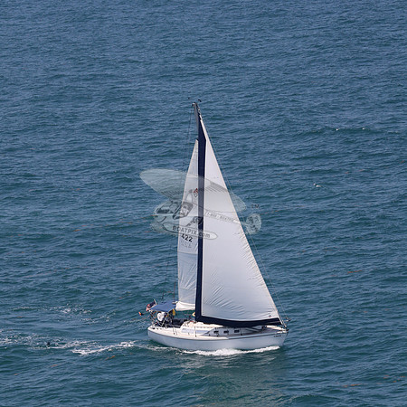 422.FL8313SN..SPIRIT OF THE WIND.35