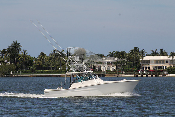 FISH HAPPENS.LANTANA FL.TOPAZ.06