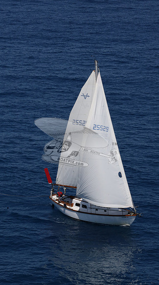 25529.AL0021RS.17