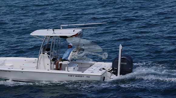 FL0364TD.818