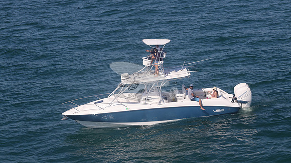 BOSTON WHALER BLUE HULL.2 MERC WHITE.9429