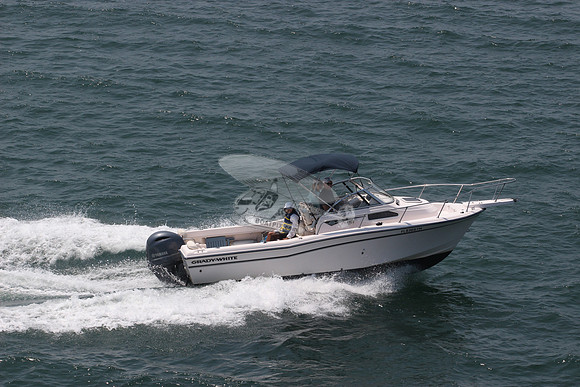 fl8366tm.04