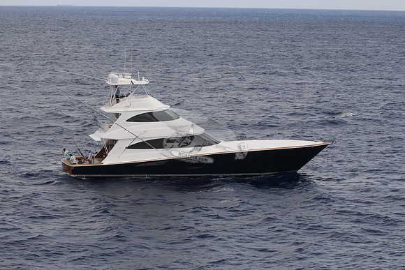 ---ake.double decker black hull viking.1522