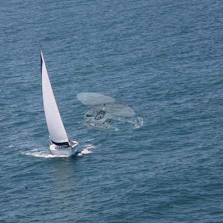422.FL8313SN..SPIRIT OF THE WIND.50