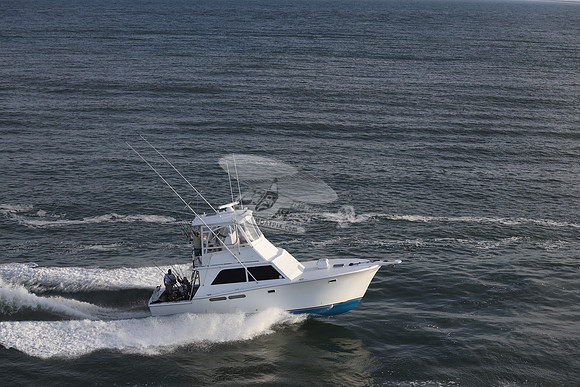 all in.ocean city md.1225