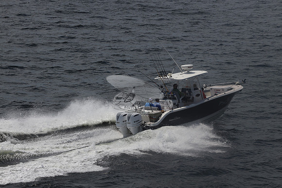 fl1751sn.03