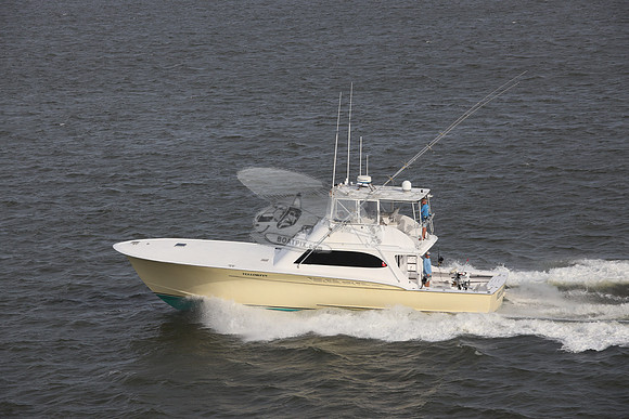 yellowfin.morehead city.3489