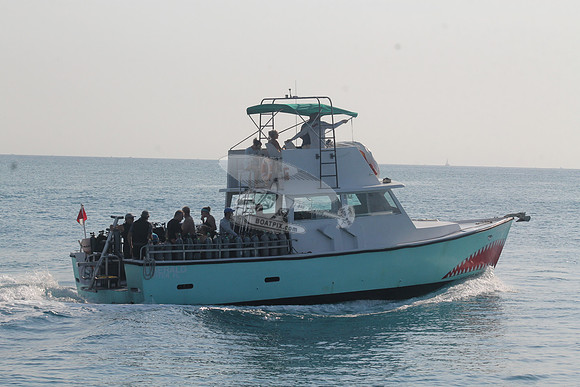 EMERALD.JUPITER FL.11