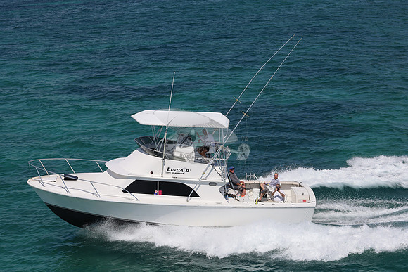 linda d v.5968