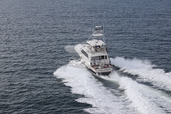 american lady.ocean view de.2186