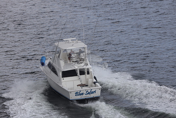 blue safari.laud.ocean.09