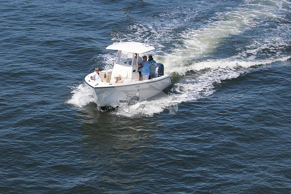 fl0793tb.6516