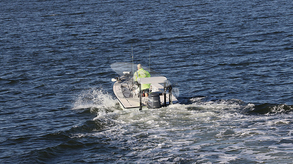 FL9081SF.04