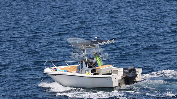FL0253DE.04