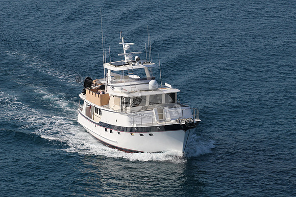 bulldog sally.wilm.26