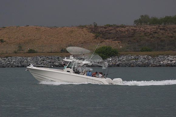 BOSTON WHALER.4