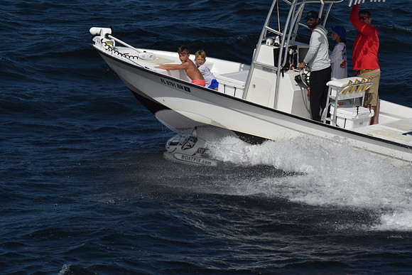 FL0791RM.312
