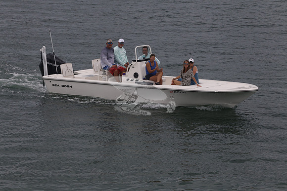 al0763vr.4