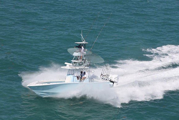 conch.jorlgrave.3 white 400 merc.6343