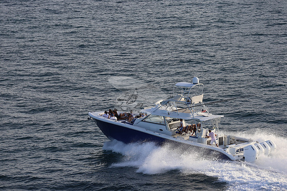 alegrias.bay harb.yellowfin.03