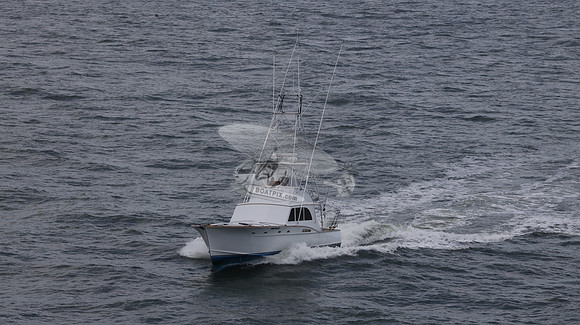 ballie who iii.islamorada fl.9497