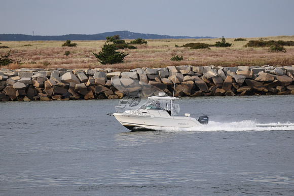 ms7202bx.2