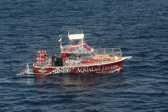 aqualife divers.3149