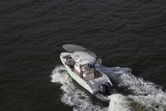 COBIA.LT BLUE HULL.333