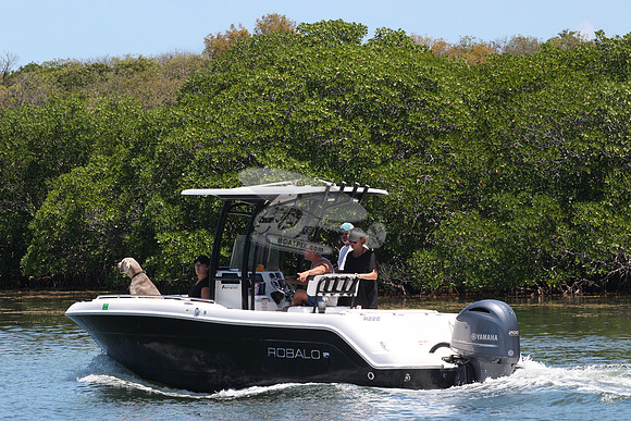 robalo.r222.0154